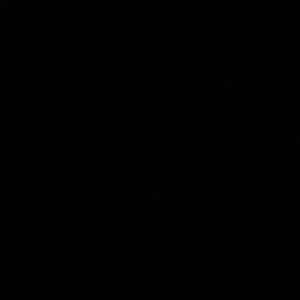 Meet your Posher, Jacqueline